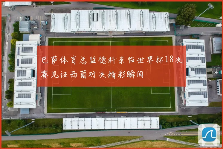 巴萨体育总监德科亲临世界杯18决赛见证西葡对决精彩瞬间