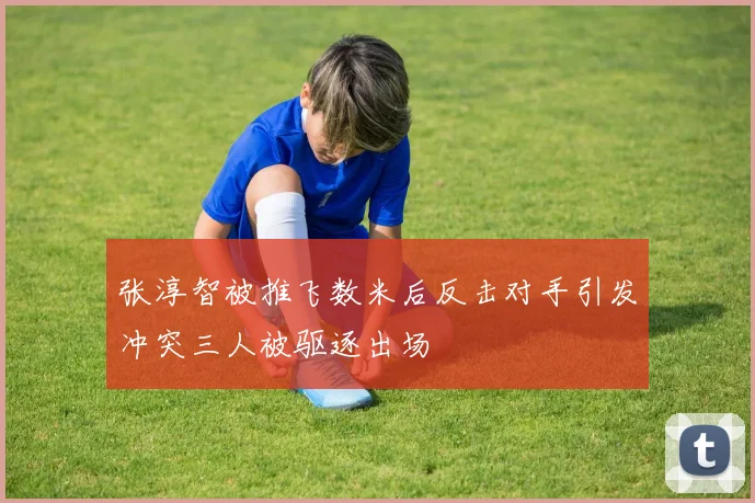 张淳智被推飞数米后反击对手引发冲突三人被驱逐出场